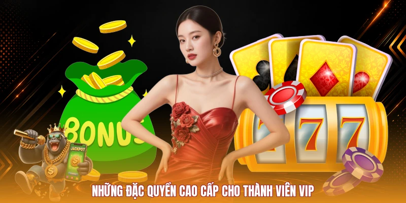 Quyền lợi VIP 8QBET cần đọc kỹ điều kiện