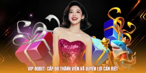 VIP 8QBET: Cấp Độ Thành Viên Và Quyền Lợi Cần Biết